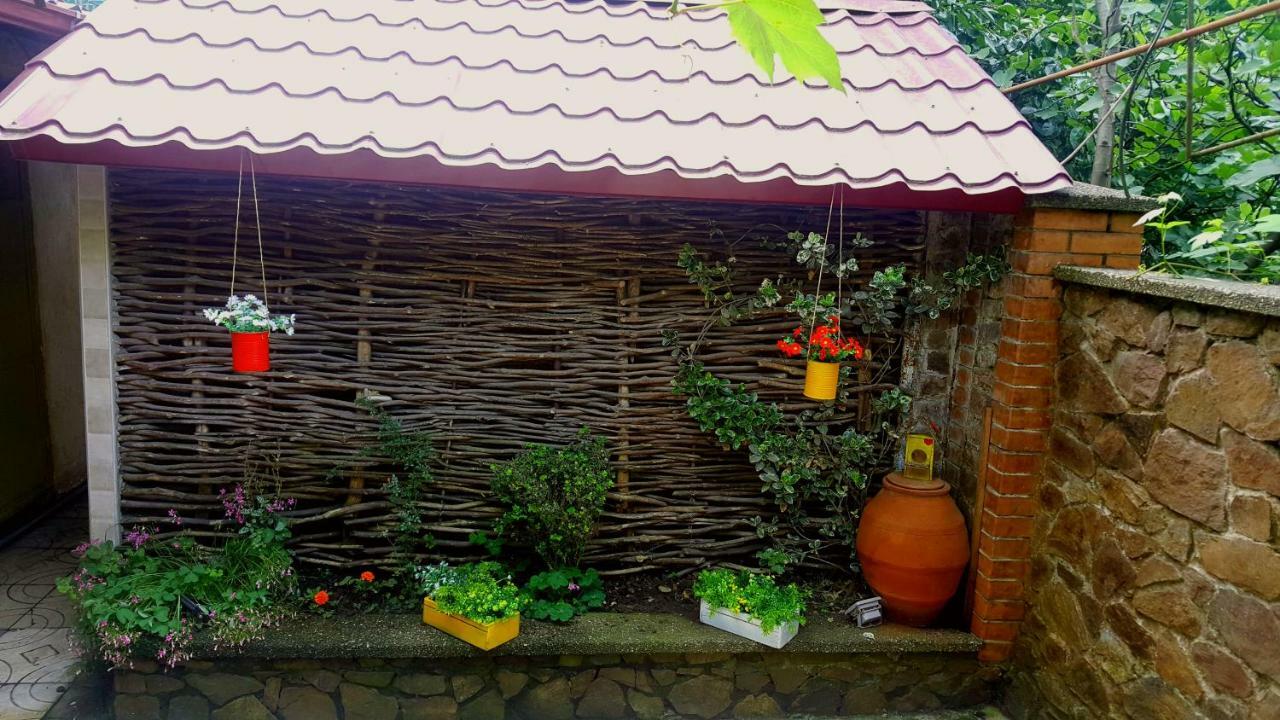 Green House In Batumi Exterior photo